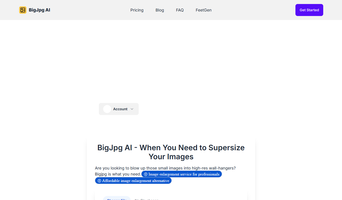 Bigjpg AI app screenshot