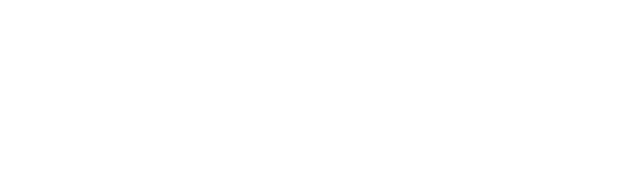 ChatScribe Pro logo