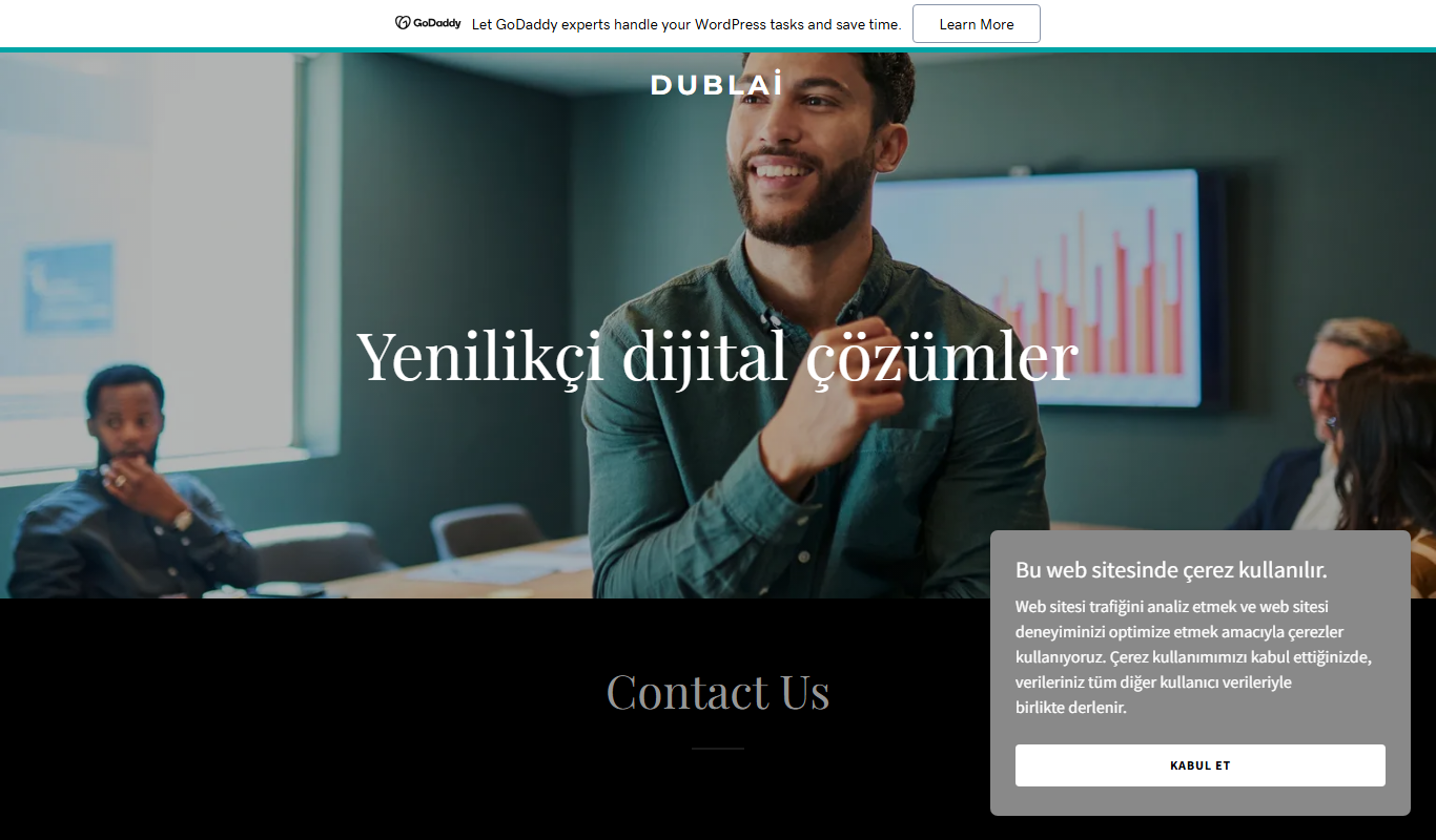 Screenshot of the Dublai.com interface