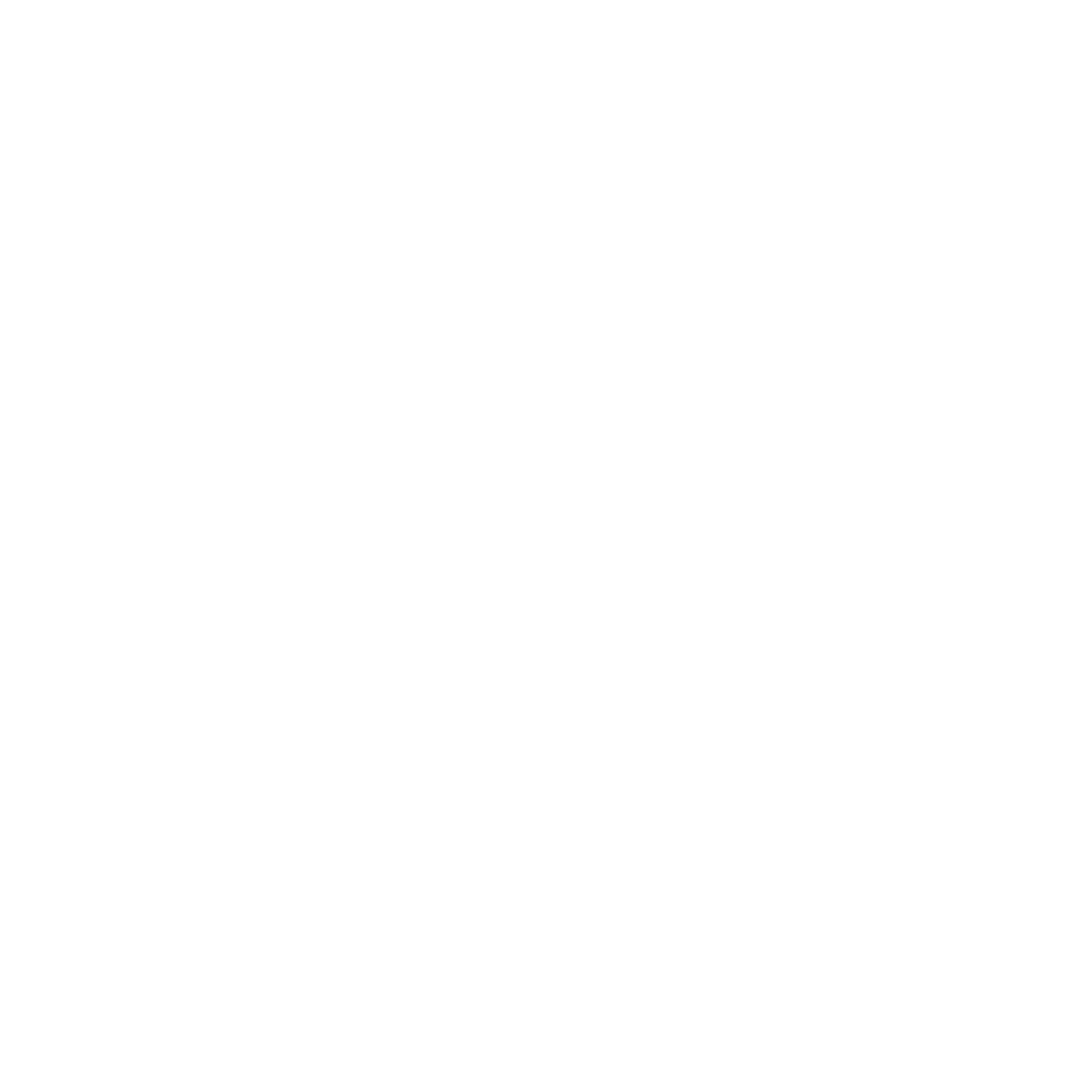 HomeScore logo