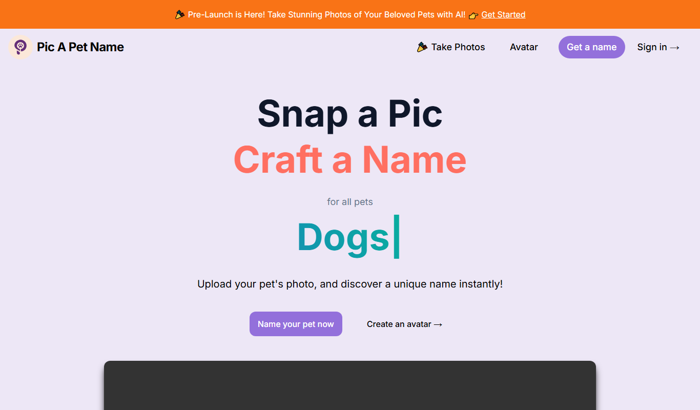 Pic A Pet Name app screenshot