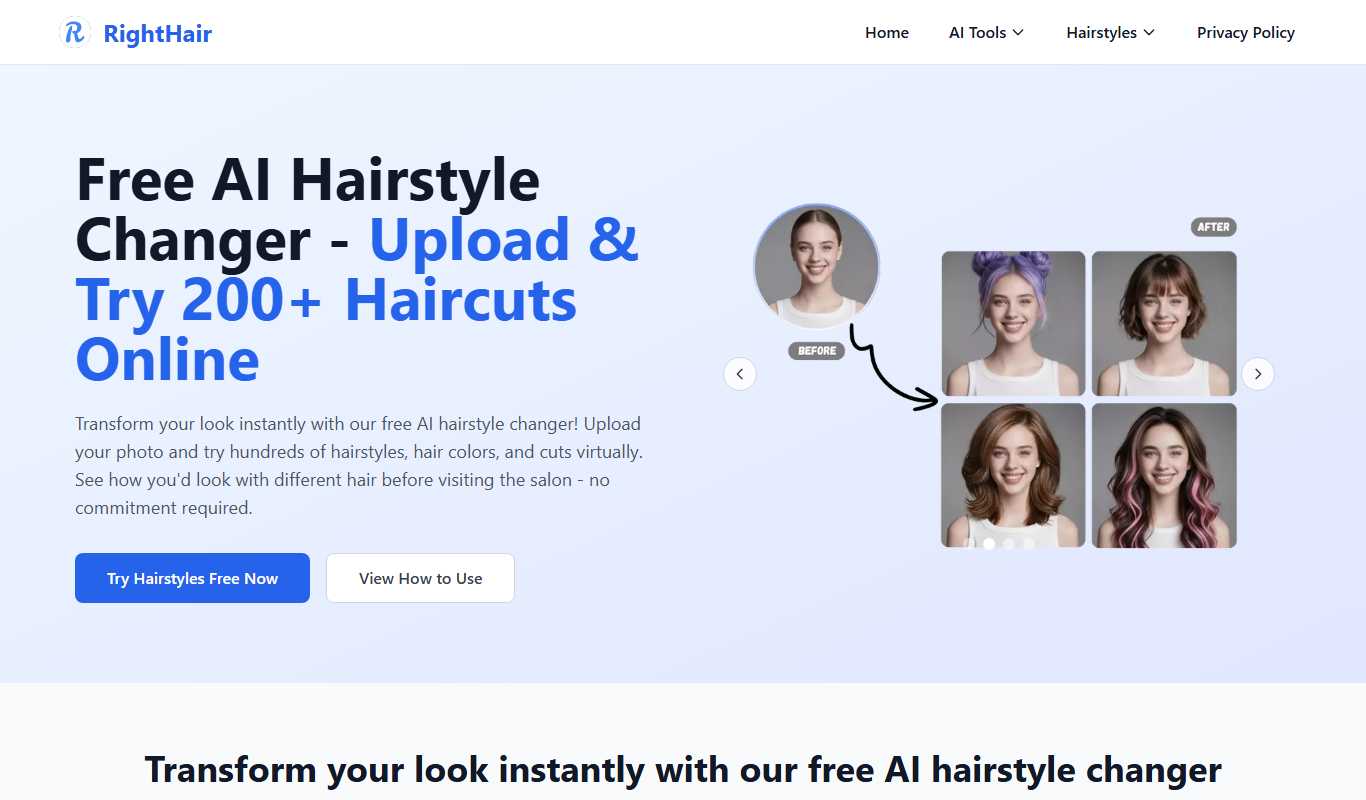 Screenshot of the RightHair interface