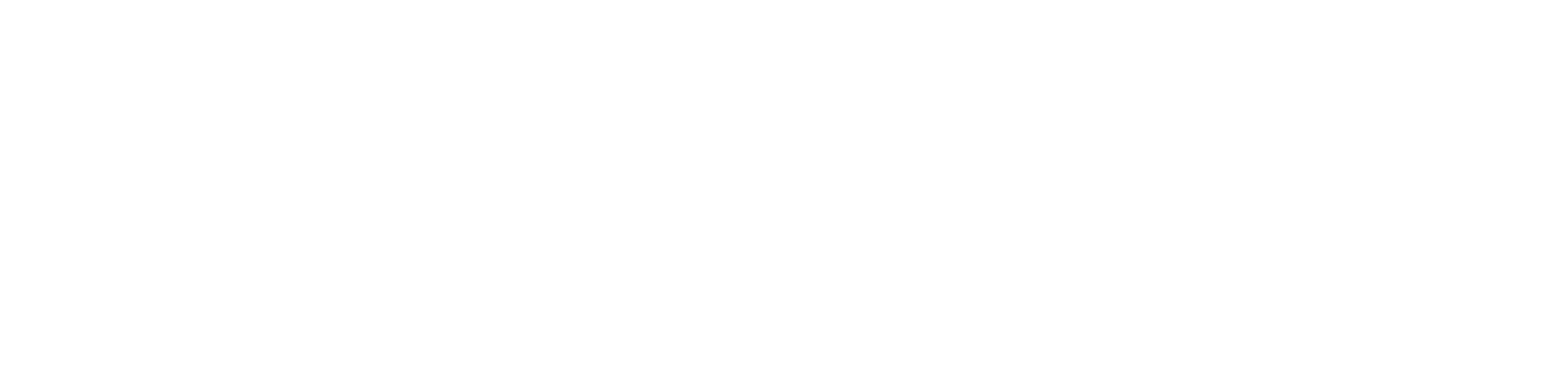 SpicyTool logo