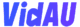 VIDUR logo