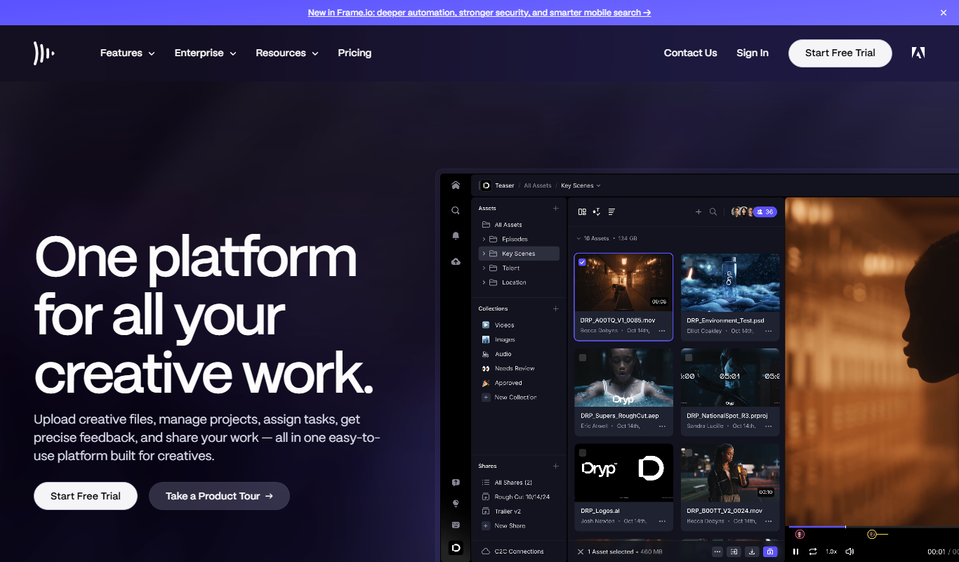 Screenshot of the Frame.io interface